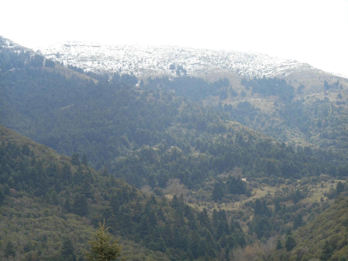 Amadriades Kalavryta Luaran gambar